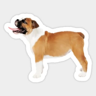 American Bulldog, Dog Lover Sticker